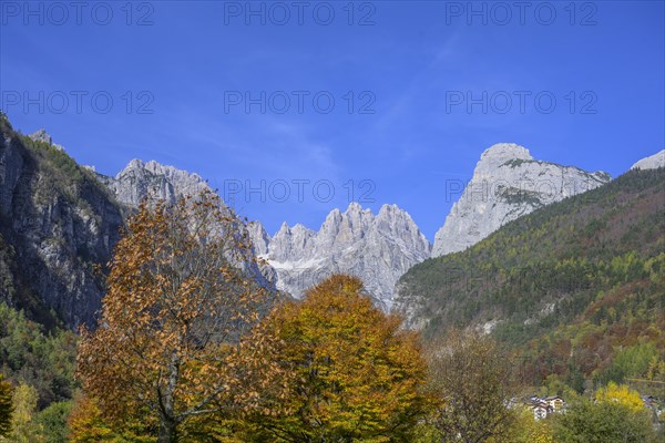 Mountains of the Brenta Group and autumn coloured trees