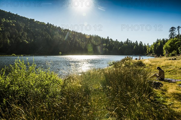 Mountain lake in summer