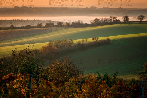 A wonderful morning in the Moravian fields in autumn. Beautiful colours. Czech republic