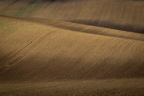 Beautiful harsh landscape of plowed Moravian fields in the autumn season. Czech republic