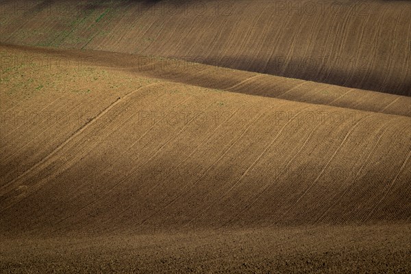 Beautiful harsh landscape of plowed Moravian fields in the autumn season. Czech republic