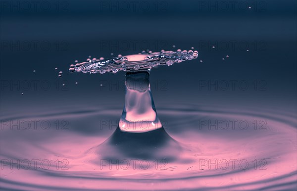 Macro Photography Water Drops