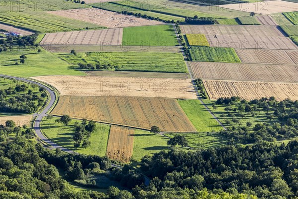 Agriculture area