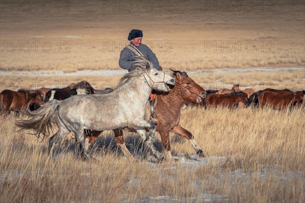 Riders in winter. Dornod Province