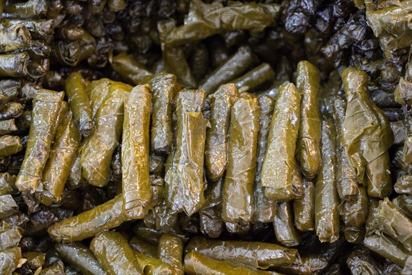 Stuffed grape leaves in Turkish style cooking