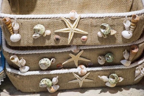 Various types of little seashells and starfish on the face of the basket