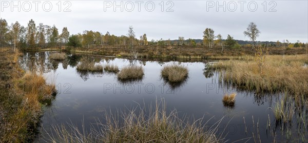 Autumn in the Kendlmuehlfilzen high moor