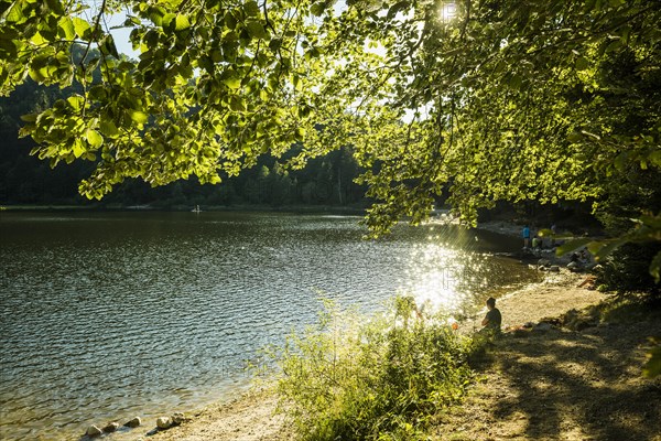 Mountain lake in summer