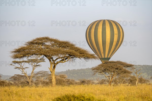 Early morning balloon flight