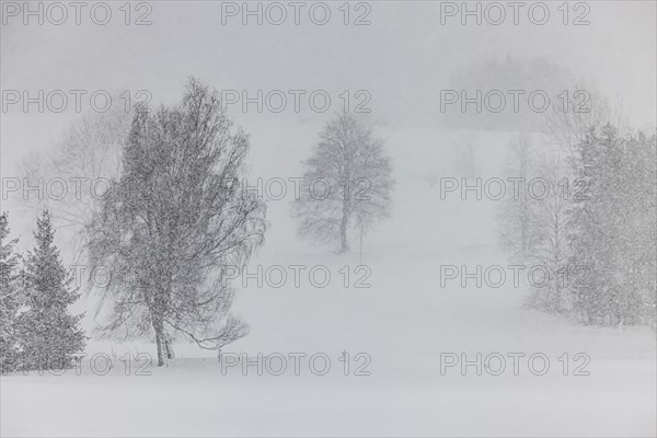 Winter landscape in the Swabian Alb