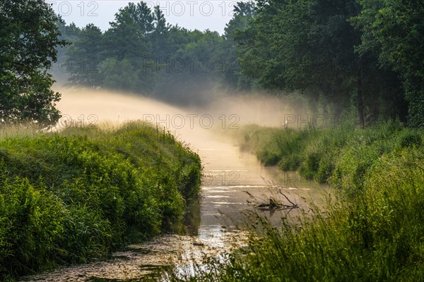 Morning fog over the Ems in the Ems lowlands near Rietberg