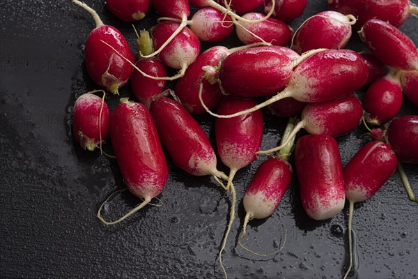 Radish