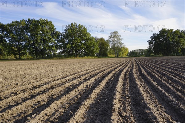 Grooves on a field. Germany