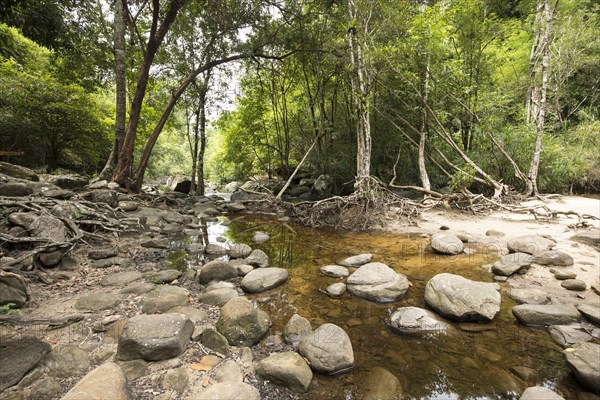 River course from Kaeng Kalau waterfall in Phu Chong Na Yoi National Park