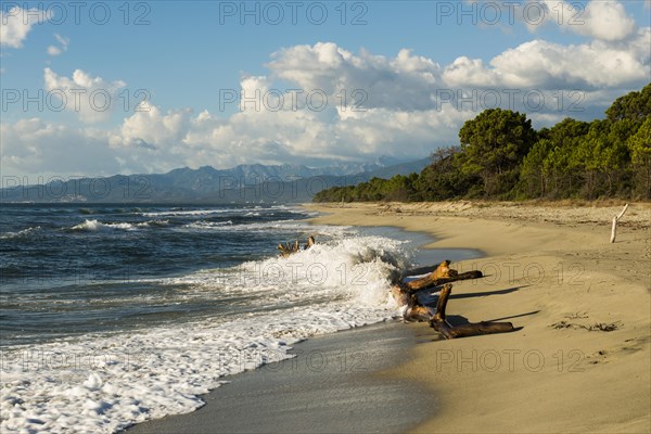 Lonely wild beach