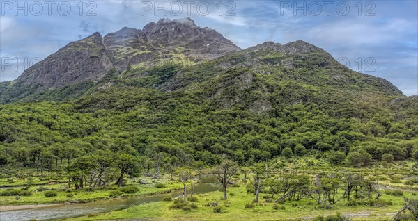 Moor and Forest and Mountain Landscape Ushuaia Argentina