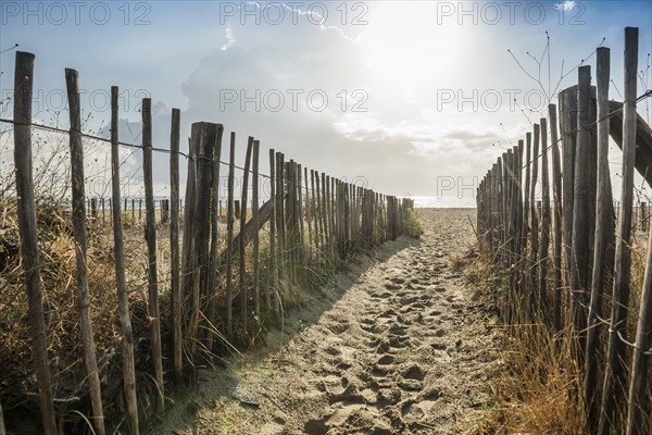 Path to the beach