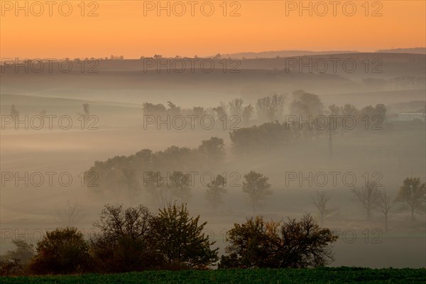 Beautiful Moravian fields with avenues of trees shrouded in morning fog. Czech republic