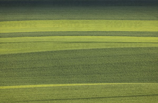 Agriculture fields in spring near Neckarwestheim