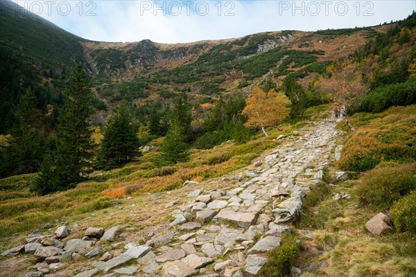 Extensive mountain panorama in the Karkonosze Mountains. Polish mountains