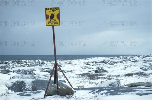 Polar bear warning sign