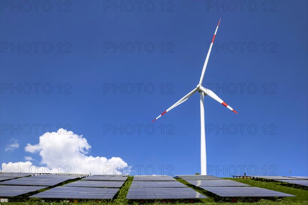 Wind turbine and solar collectors