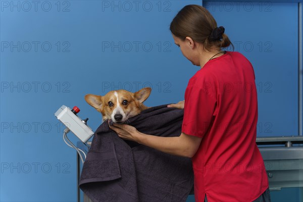 After rehabilitation on a water treadmill