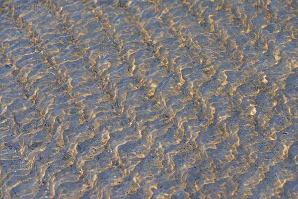 Small waves on the sandy beach with light reflections