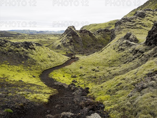 Moss-covered volcanic landscape