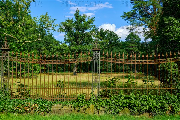 Historic iron fence