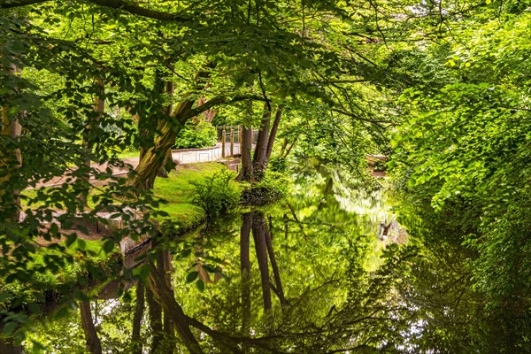 Reflection in the Ems in Rietberg