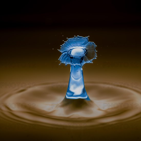 Macro Photography Water Drops