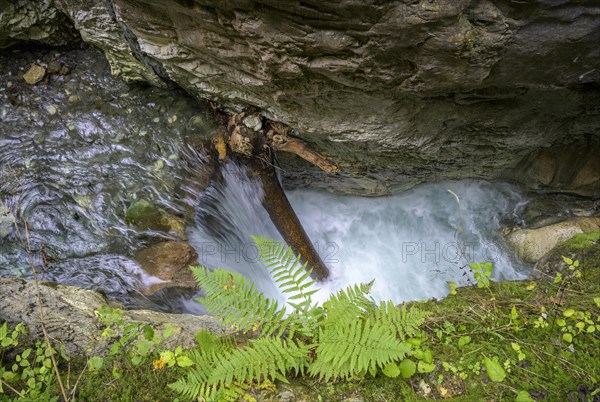 Gilfenklamm