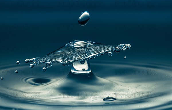 Macro Photography Water Drops