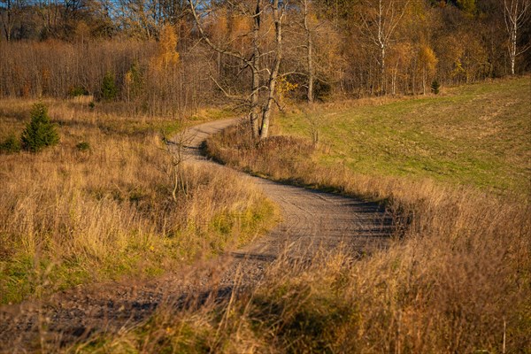 A road winding through fields and meadows. Part of the hiking trail. Polish mountains