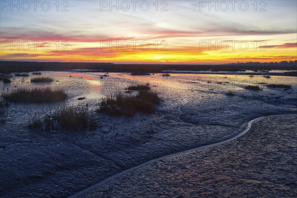 Sunrise in the Langwarder Groden Nature Reserve