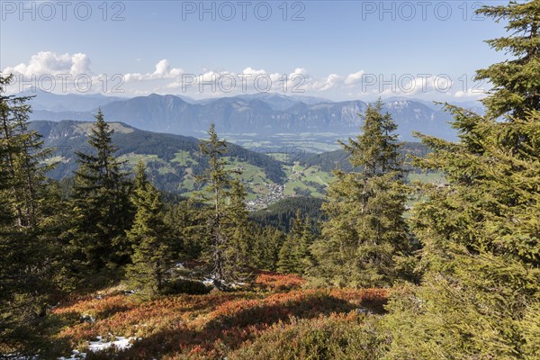 Alpbachtal