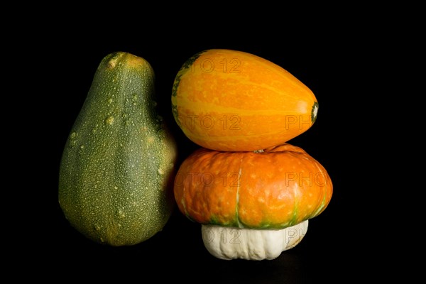 Colorful pumpkin on a black background. In studio