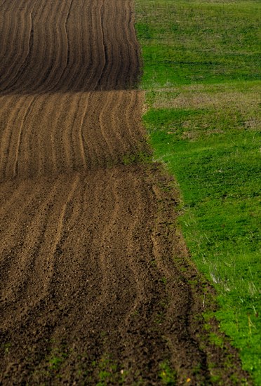 Moravian landscapes of wavy fields with a wealth of colors. Czech republic