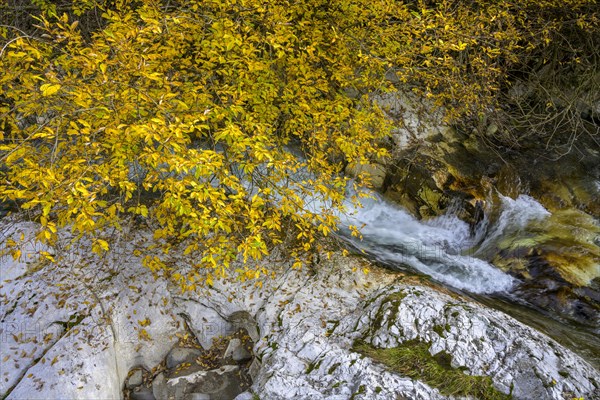 Stream with marble rocks above the Gilfenklamm gorge