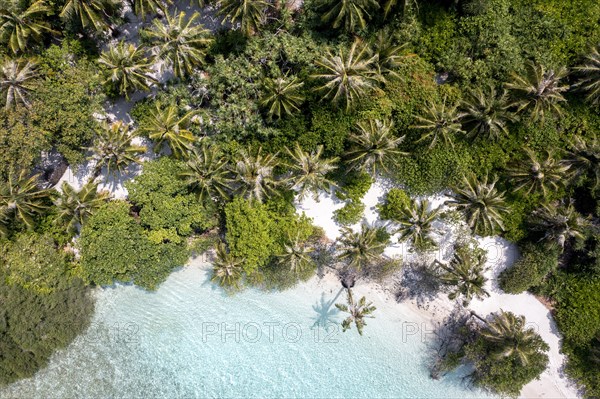 Aerial view: lonely Island with a sandbank and Palmtrees in the Maldives