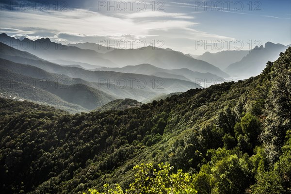 View from Monte Senino