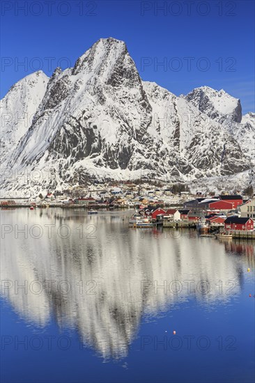 Village view Reine