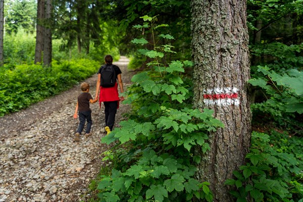 Red marking of the hiking trail