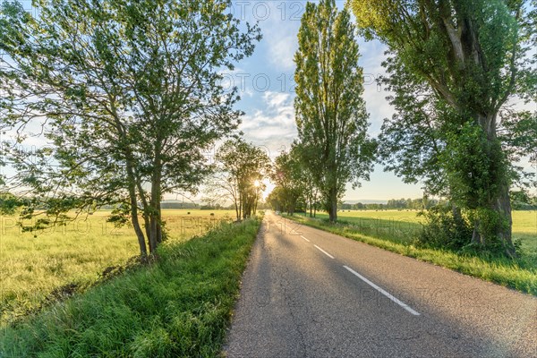 Sunny country road on a spring day. Alsace