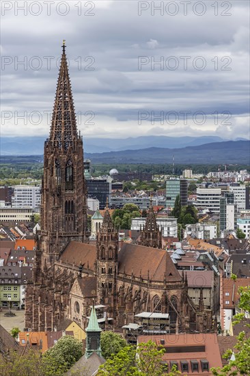 View of the city and cathedral