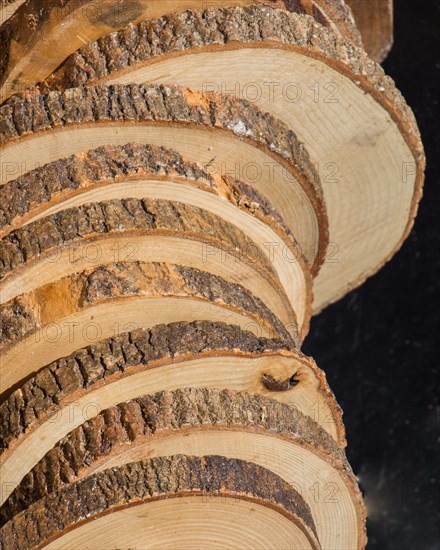 Small piece of cut wood logs used for wood texture background