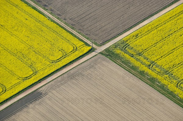 Aerial view of agricultural landscape in spring