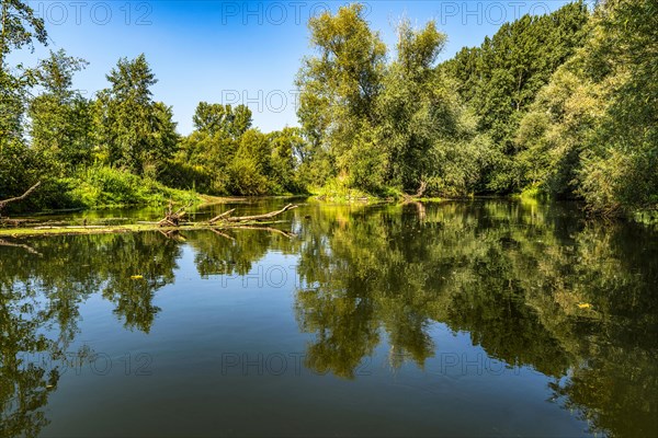 The river Lippe in the Hellinghauser Mersch nature reserve