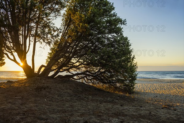 Lonely wild beach